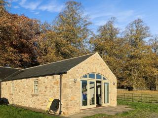 Southview Barn - Barnard Castle - 8