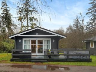 Leven Lodge 1 - Uk46042 - Balloch - 8