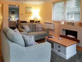 Leven Lodge 2 - Uk46044 - Balloch - 9
