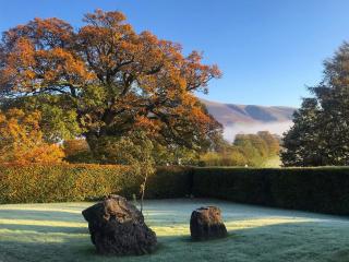 Autumn Leaves - Keswick - 4