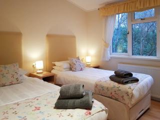 Kingfisher Lodge - Uk46046 - Balloch - 1