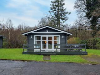 Leven Lodge 3 - Uk46045 - Balloch - 3