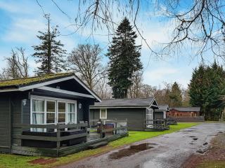Leven Lodge 3 - Uk46045 - Balloch - 2