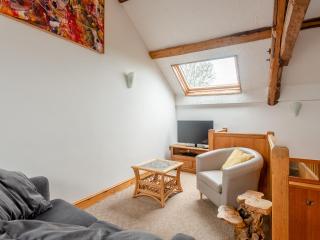 Robins Nest - Uk36208 - Llanfihangel-y-creuddyn - 7