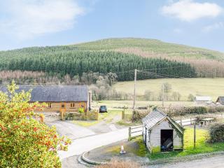 Rhiw Gam - Abbey-Cwmhir - 9