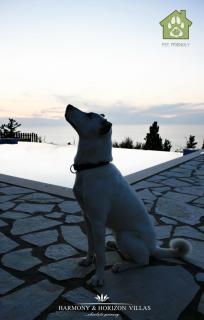 Harmony and Horizon villas - 1