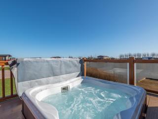 Reed Roost - Uk37726 - Skegness - 9