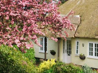 Monks Thatch - Otterton - 1