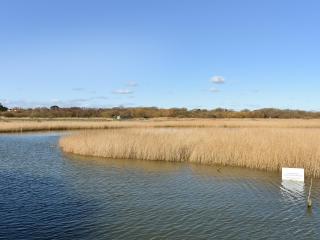 Oakmere - Fareham - 1
