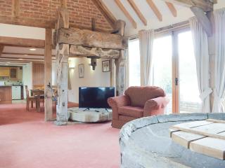 Woltons Mill - Much Marcle - 7