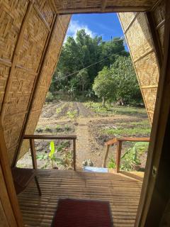Kubo Ni Cesar - Batuan - 5