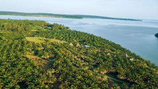 Bugoma Sand Beach - - 0