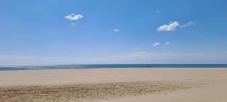 Les balcons de la méditerranée - Narbonne-Plage - 5