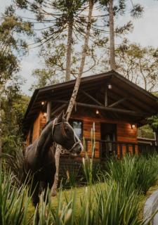 Cabana Floresta nas Cabanas Malbec Lareira, Conforto e Vista para o Verde - 0