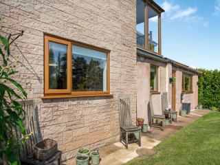 Seashells - Dunster - 9