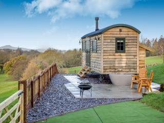 Hut Uk42176 - Usk - 2