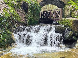 Ivy Cottage - Falkland - 9