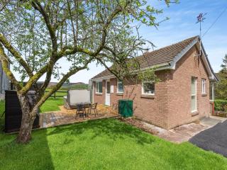 Cambrian Mountain View - Llanafan-fawr - 9