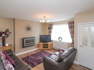 Colliery Cottage - Esh - 7