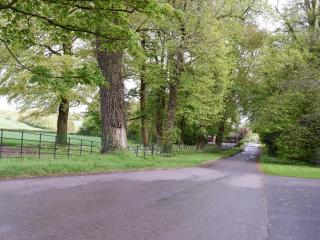 Club Cottage - Dummer - 8