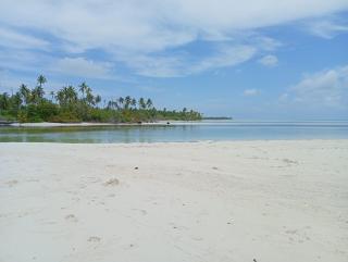 iruka guesthouse - 3