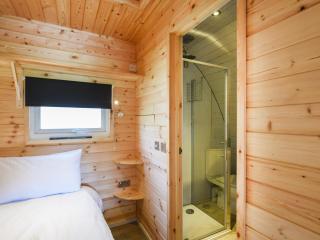 Barcud Coch - Uk44539 - Hirnant - 3