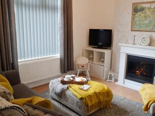 Sonny Cottage - Glanamman - 8