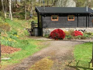 Squirrel View - Newtonmore - 4