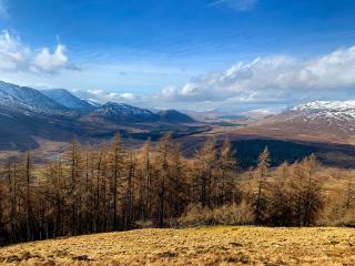 Squirrel View - Newtonmore - 2