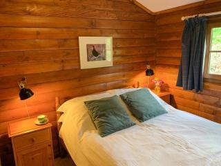 Squirrel View - Newtonmore - 7