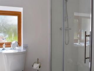 Parlwr - Uk11210 - Cwrt-newydd - 4