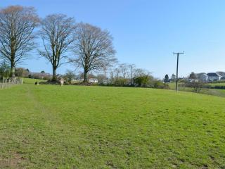 Parlwr - Uk11210 - Cwrt-newydd - 3