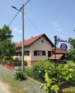 Ruralna kuća Pejaković - - 5