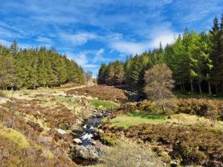 Wylies Brae - New Galloway - 2