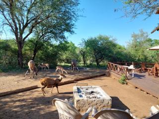 Khumbula iAfrica 2 - Marloth Park - 8
