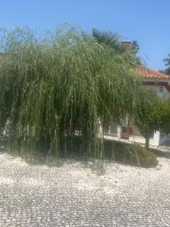 Casa do Jardim - 2