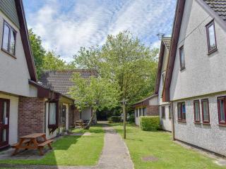 Trevithick Lodge - Hayle - 0