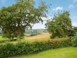 Mavis Cottage - Kington - 2
