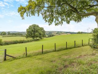 Mavis Cottage - Kington - 6