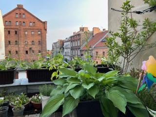 Apartamenty Smile - Grudziądz - 0