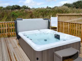 Hen Harrier Lodge-Uc3979 - Saint Columb Major - 9