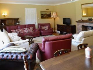 Conifers - South Molton - 9