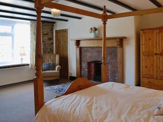 Conifers - South Molton - 3