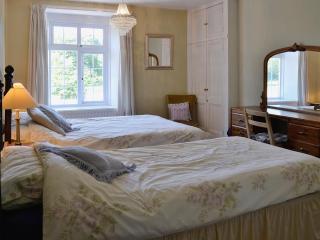 Conifers - South Molton - 1