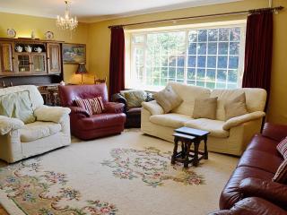 Conifers - South Molton - 7