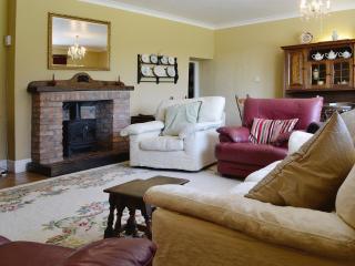 Conifers - South Molton - 8