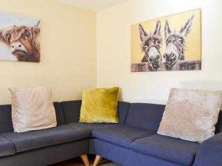 Biskey Burrow - Bowness-on-Windermere - 7