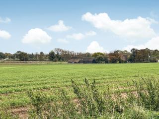 Brooklands Farm Cottage - Biggleswade - 9