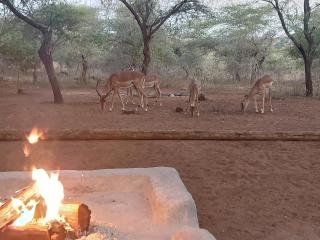 Khumbula iAfrica 1 - Marloth Park - 8