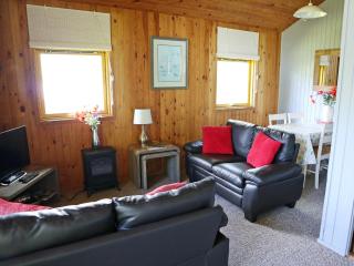 Loch Earn View Lodge - Lochearnhead - 8